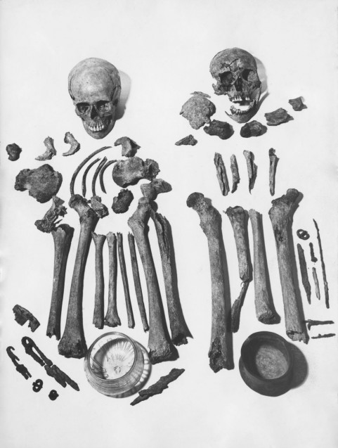 Die geborgenen Skelettteile und Grabbeigaben aus Britz. © Staatliche Museen zu Berlin, Museum für Vor- und Frühgeschichte.