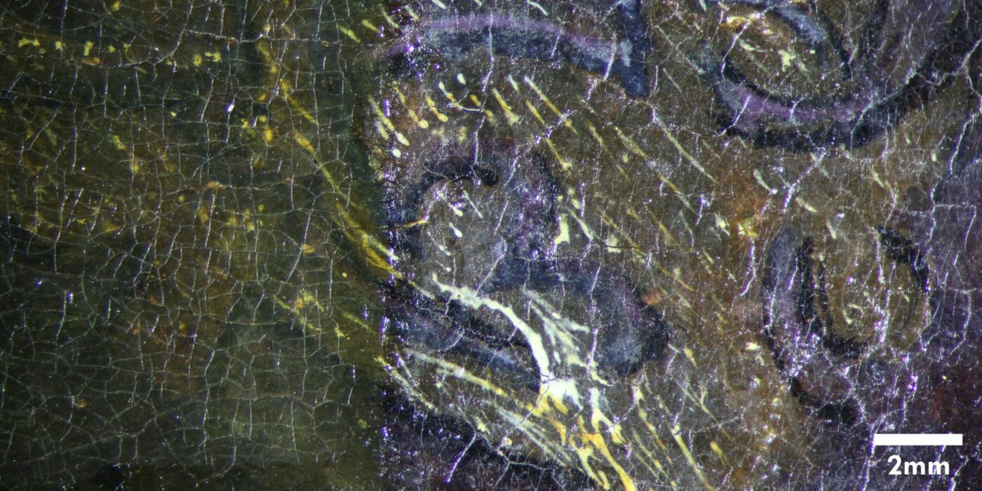 Mikroskopaufnahme während der Firnisabnahme im Gewand: rechts sind die Feinheiten und die Farbigkeit der Malerei wieder sichtbar. © Staatliche Museen zu Berlin, Gemäldegalerie / Sandra Stelzig