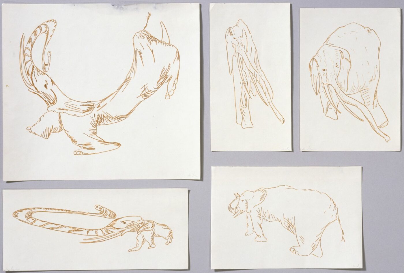 Juri Leiderman (geb. 1963), Elefanten, 1996, fünf Blatt, brauner Buntstift auf Papier, KdZ 29550 a-e, Schenkung Haralampi G. Oroschakoff (2003)