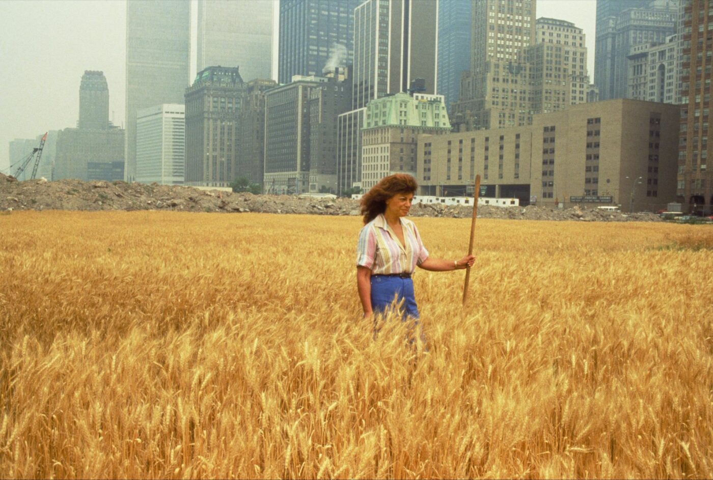 Agnes Denes: Wheatfield, 1982, Film, Für 
